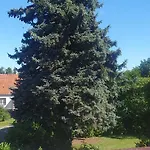 Lieblingsgast