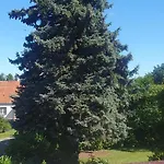 Apartment Lieblingsgast *