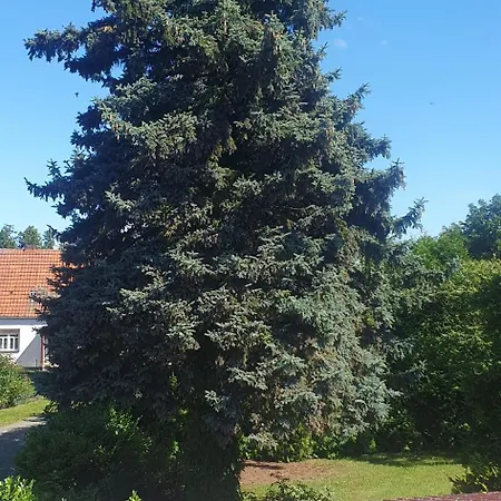 Lieblingsgast