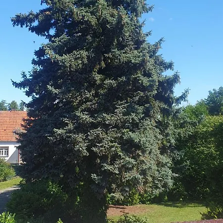 Apartament Lieblingsgast *